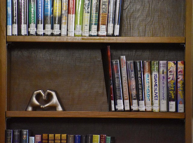 Local literature lovers show up to ‘check out’ Rusk County Library System’s delightful designs